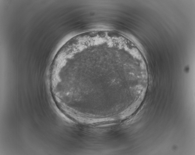 X0000116781243201001281647