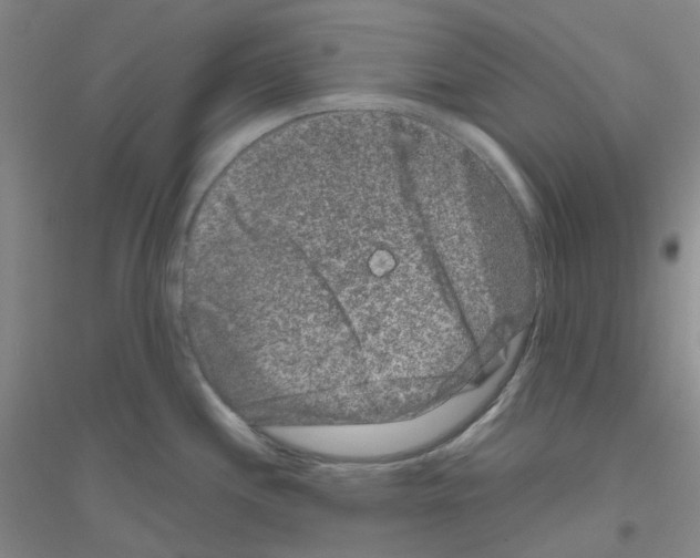 X0000116781244201001281647