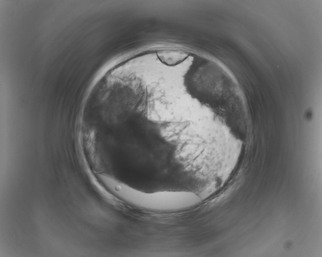 X0000116781245201001281647