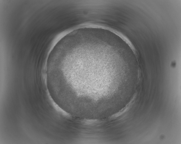 X0000116781247201001281647