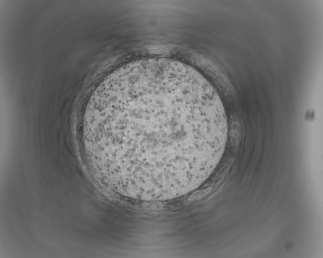 X0000116781249201001281647