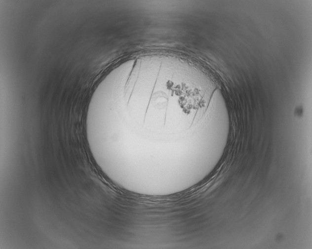 X0000116781252201001281647