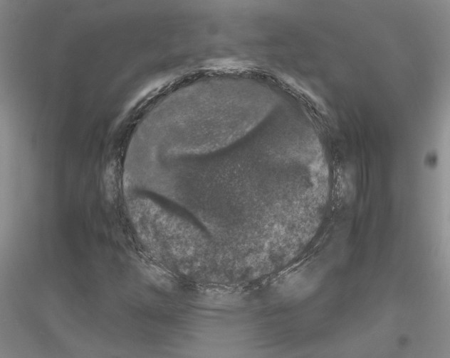 X0000116781254201001281647