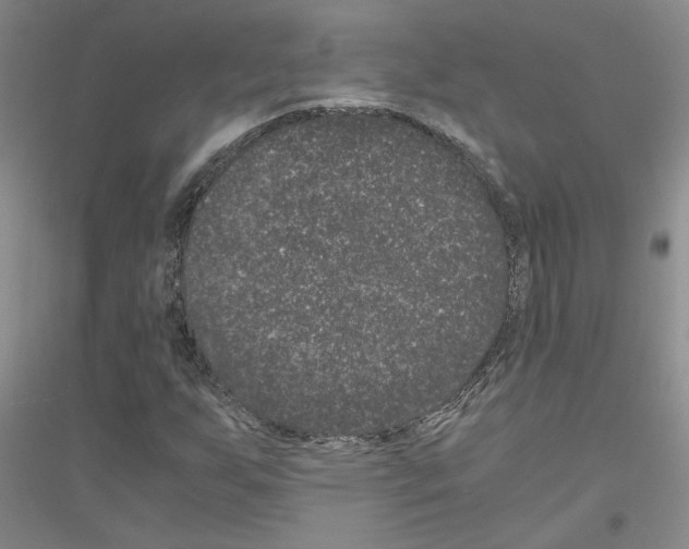 X0000116781255201001281647