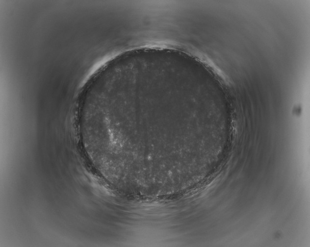 X0000116781256201001281647