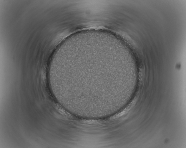 X0000116781257201001281647