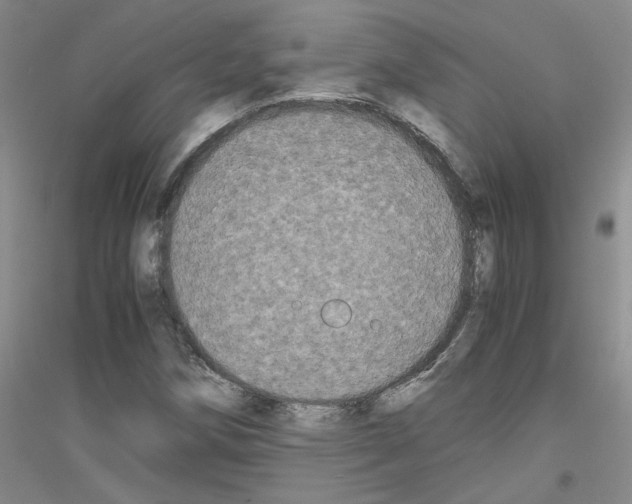 X0000116781258201001281647