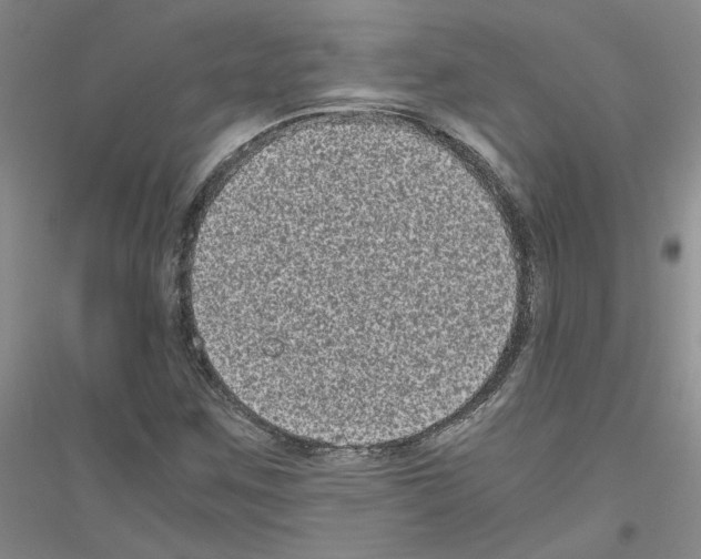 X0000116781259201001281647