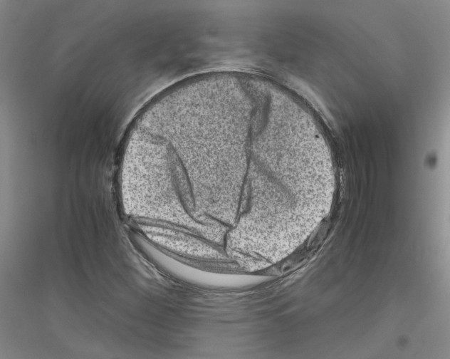 X0000116781260201001281647