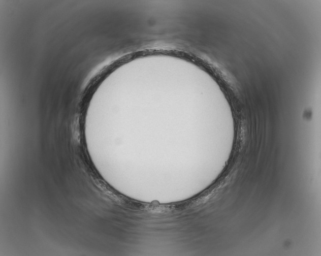 X0000116781262201001281646