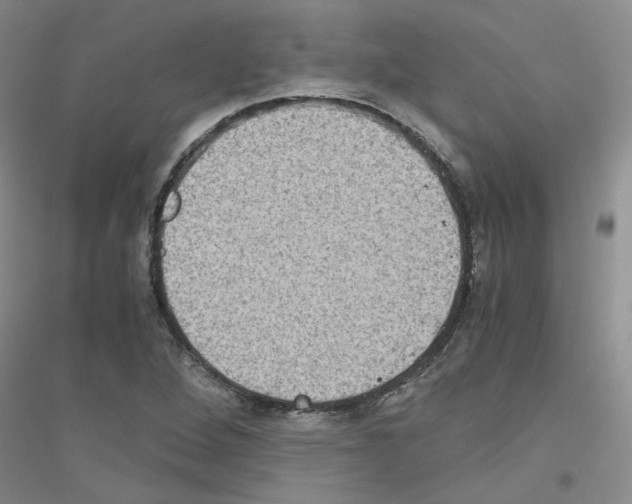 X0000116781264201001281646