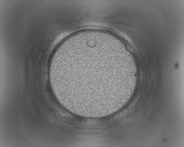 X0000116781267201001281646