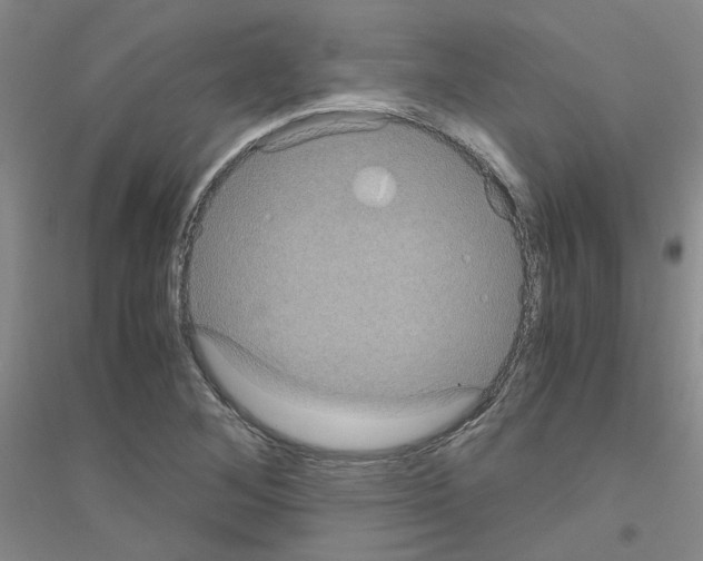 X0000116781268201001281646