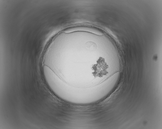 X0000116781269201001281646