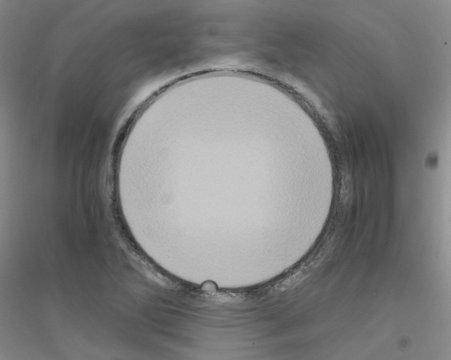 X0000116781270201001281646