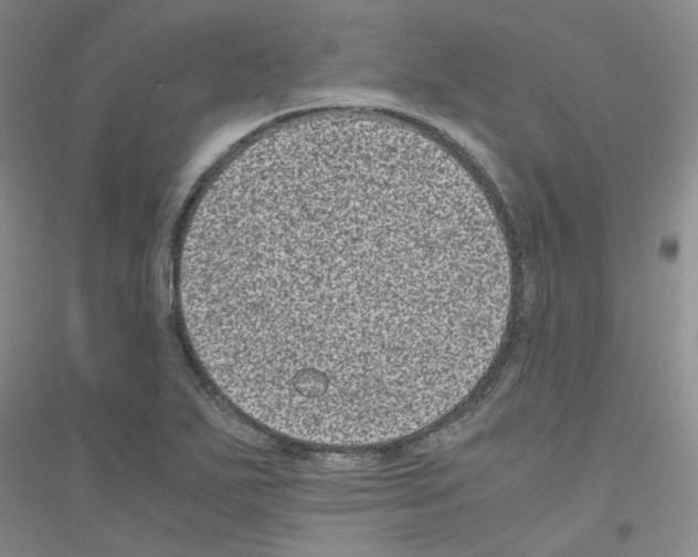 X0000116781271201001281646