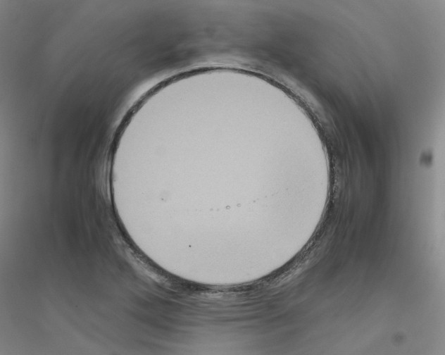 X0000116781272201001281646