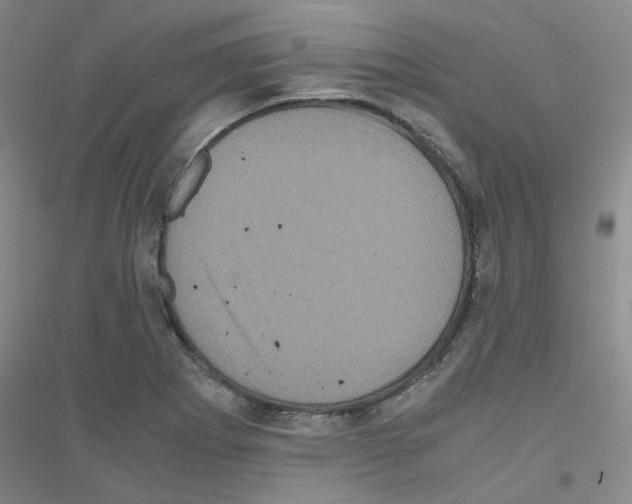 X0000116781273201001281646