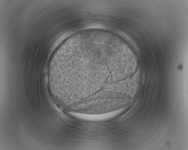 X0000116781274201001281646