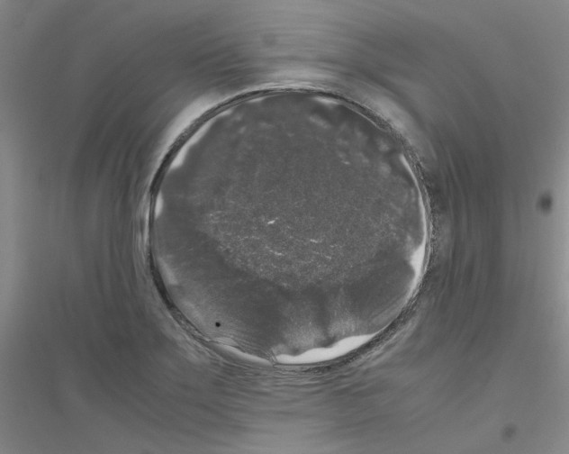 X0000116781275201001281646