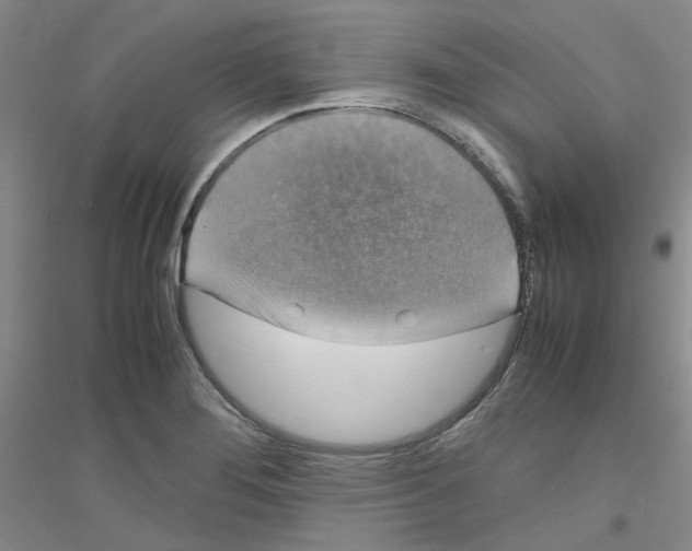 X0000116781276201001281646