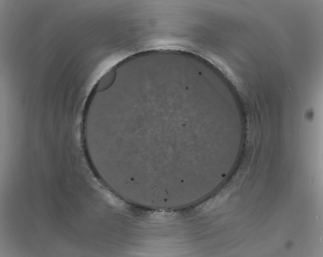 X0000116781277201001281646