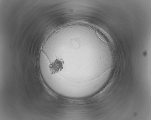 X0000116781281201001281646