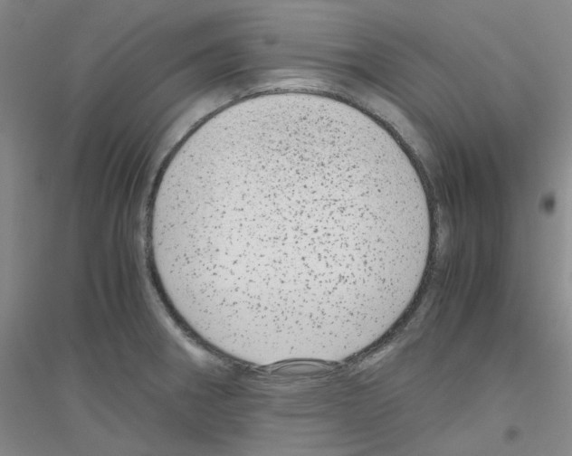 X0000116781282201001281646