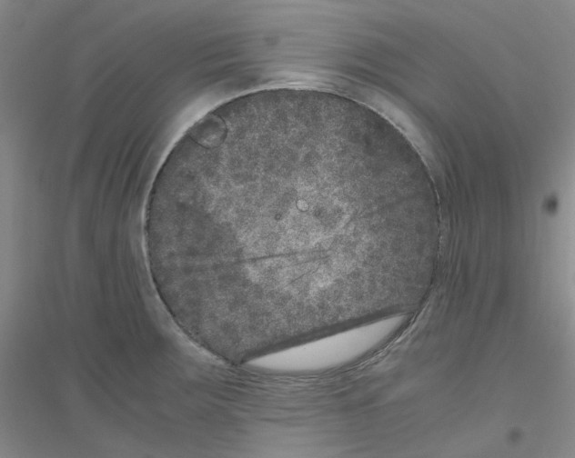 X0000116781283201001281646