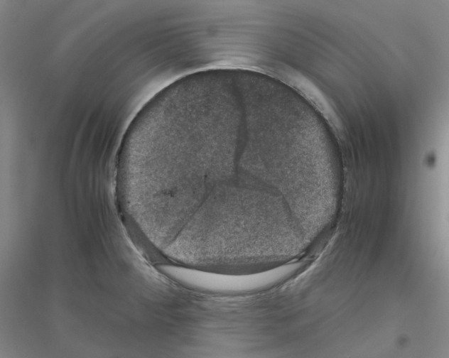 X0000116781284201001281646