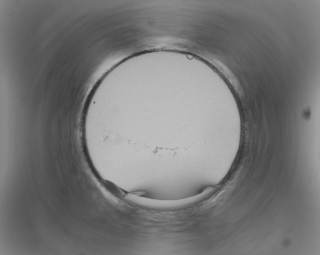 X0000116781285201001281646