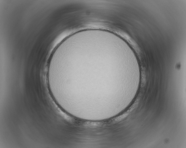 X0000116781286201001281646