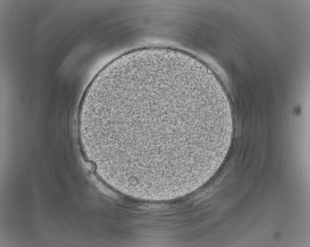 X0000116781287201001281646