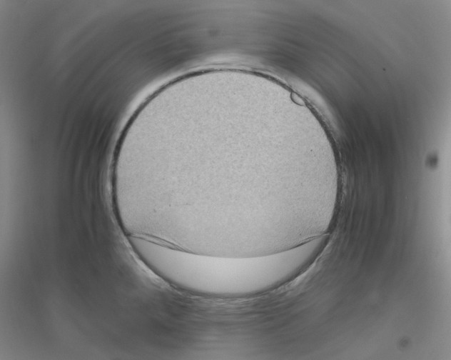 X0000116781288201001281646