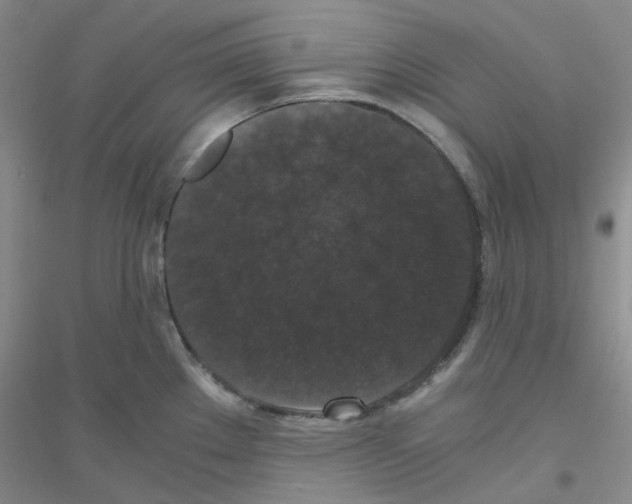 X0000116781289201001281646