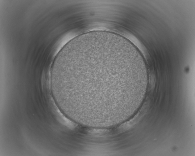 X0000116781290201001281646