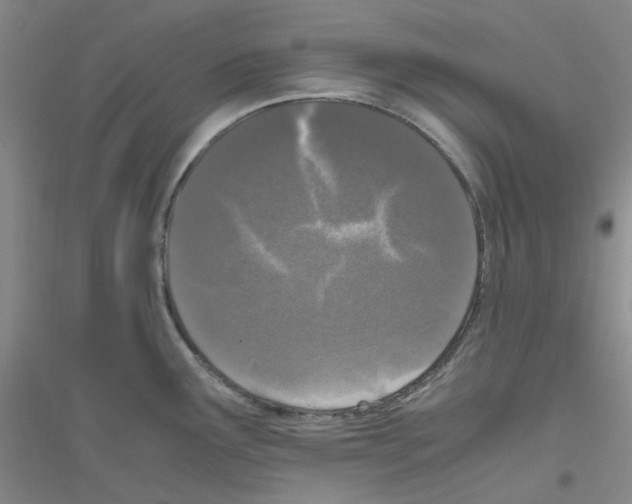 X0000116781291201001281646