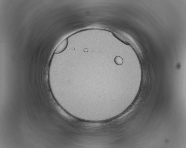 X0000116781292201001281646