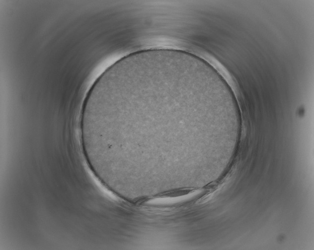 X0000116781293201001281646