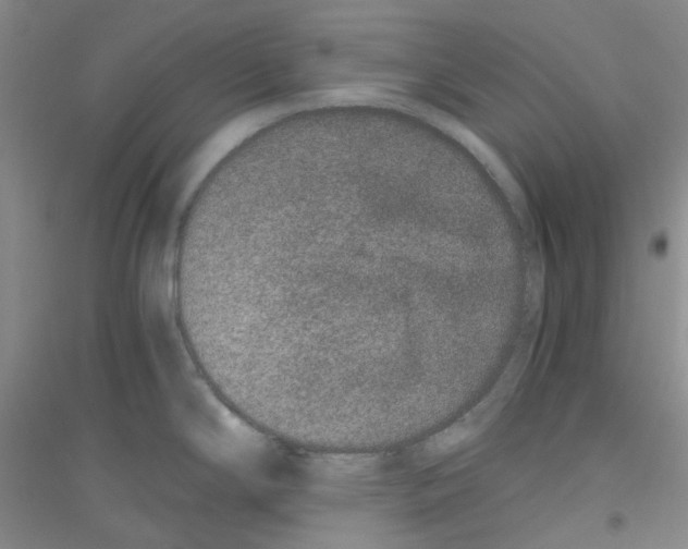 X0000116781294201001281646