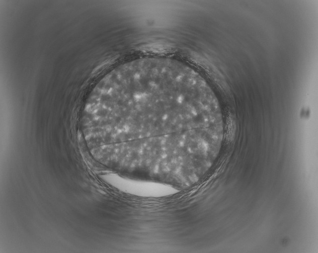 X0000116781297201001281645