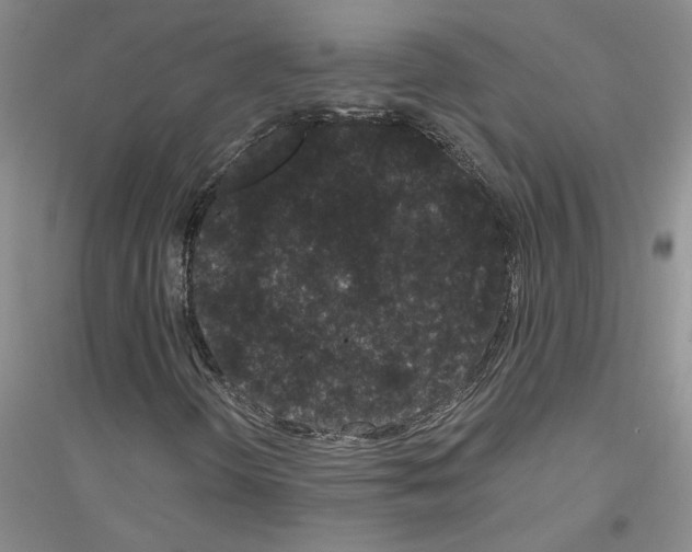 X0000116781298201001281645