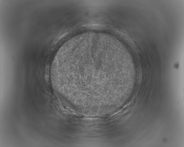 X0000116781301201001281645