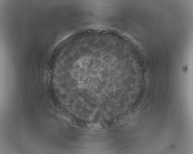 X0000116781302201001281645