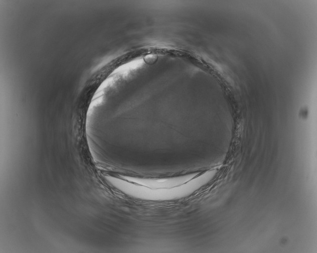 X0000116781303201001281645