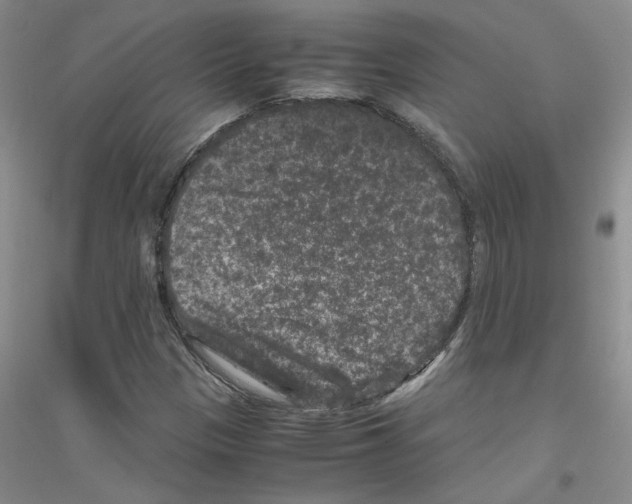 X0000116781305201001281645