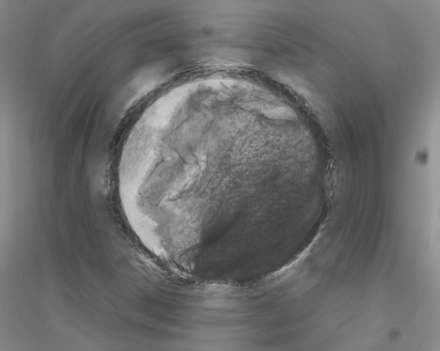 X0000116781306201001281645