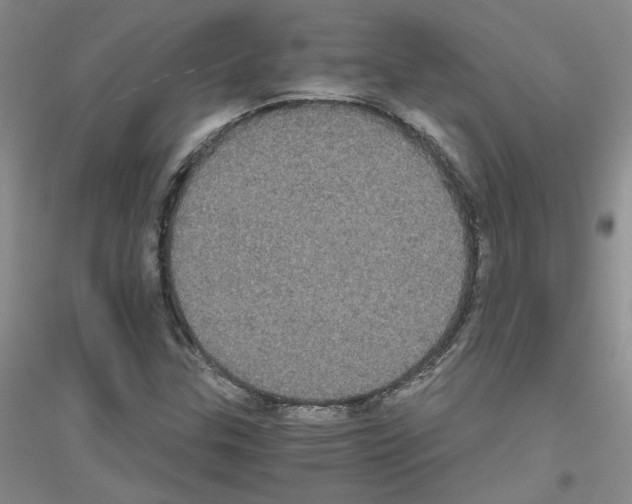 X0000116781307201001281645