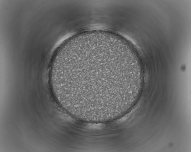 X0000116781309201001281646