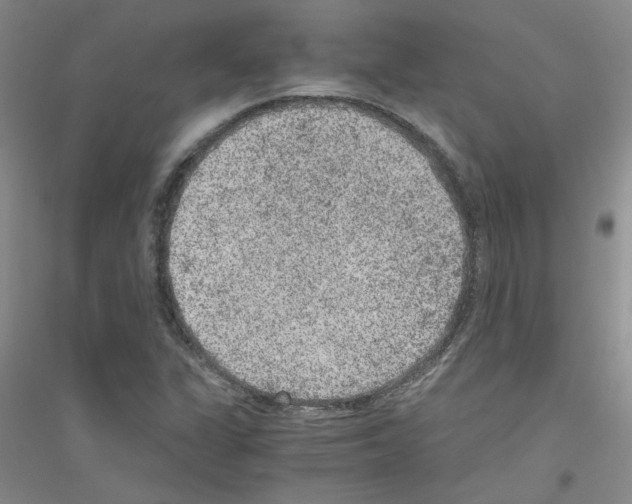 X0000116781311201001281646